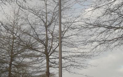 TEM - Rénovation de l'éclairage public à Pontmain