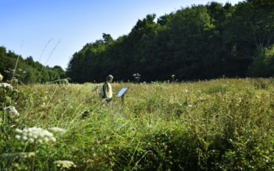 Ville d'Ernée - Tourbière des Bizeuls. Crédit photo Haute Mayenne Tourisme