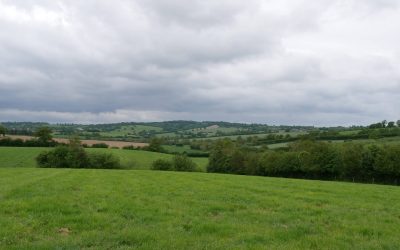 Animation pour la conservation du bocage